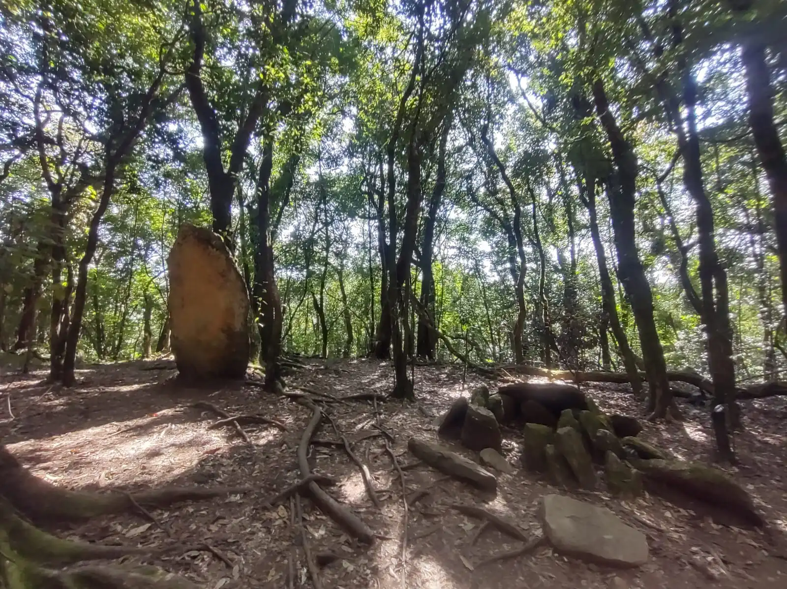 The Khasi hills of Meghalaya